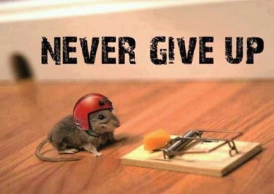 Never Give Up DP Images صور رمزيات حالات خلفيات عرض واتس اب انستقرام فيس بوك - رمزياتي